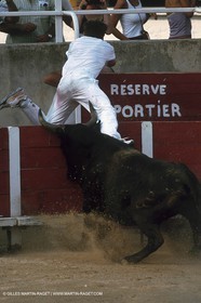 Camargue Bull game