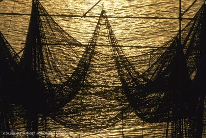 France, Provence, Pêche , Barques, pointus, pêche locale