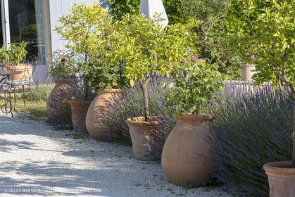 20 06 2018, Ménerbes (FRA,84), La Bastide de Marie