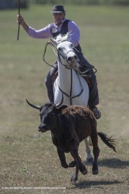 Course de Satin 2014 - Arles (FRA,13) - 1 06 2014**The satin race - Arles (FRA,13) - 01 06 2014