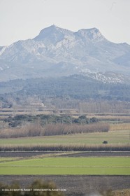 05 02 2008 - Arles (FRA, 13) - Arles surroundings landscapes