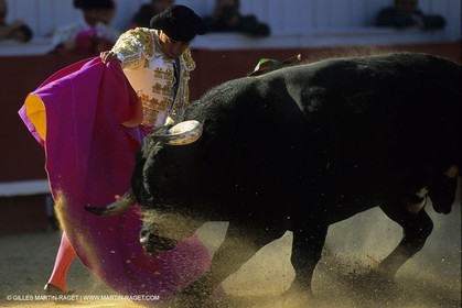 Tauromachie