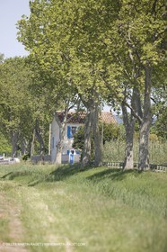 01 05 2008 - Arles (FRA,13) - Election de la Reine d'Arles