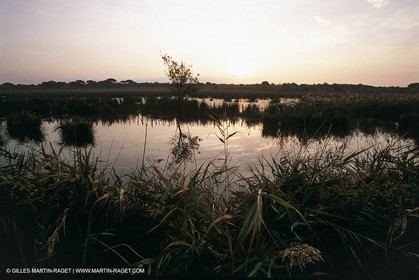 Camargue (FRA,13)