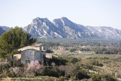 15 02 2007 - Provence - Les Alpilles