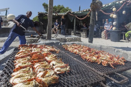 10 11 2014, Capetown (ZAF), Volvo Ocean Race 2014-15, Team Alvimedica