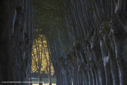 15 10 2012 - Vallée de l'Encrême près de Céreste