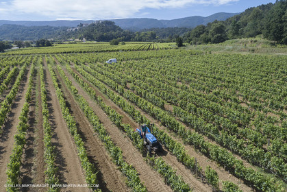 22 06 2018, Ménerbes (FRA,84), Domaine de la Citadelle