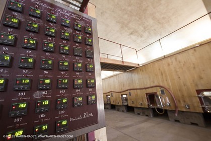 Saint Drézéry (FRA, 34), Domaine de Puech Haut