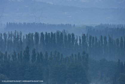 June 24th 2008 - Saint Rémy de Provence (FRA,13) - Alpilles hills landscapes