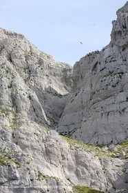 05 05 2009 - Marseille (FRA, 13) - Les Calanques - Riou island