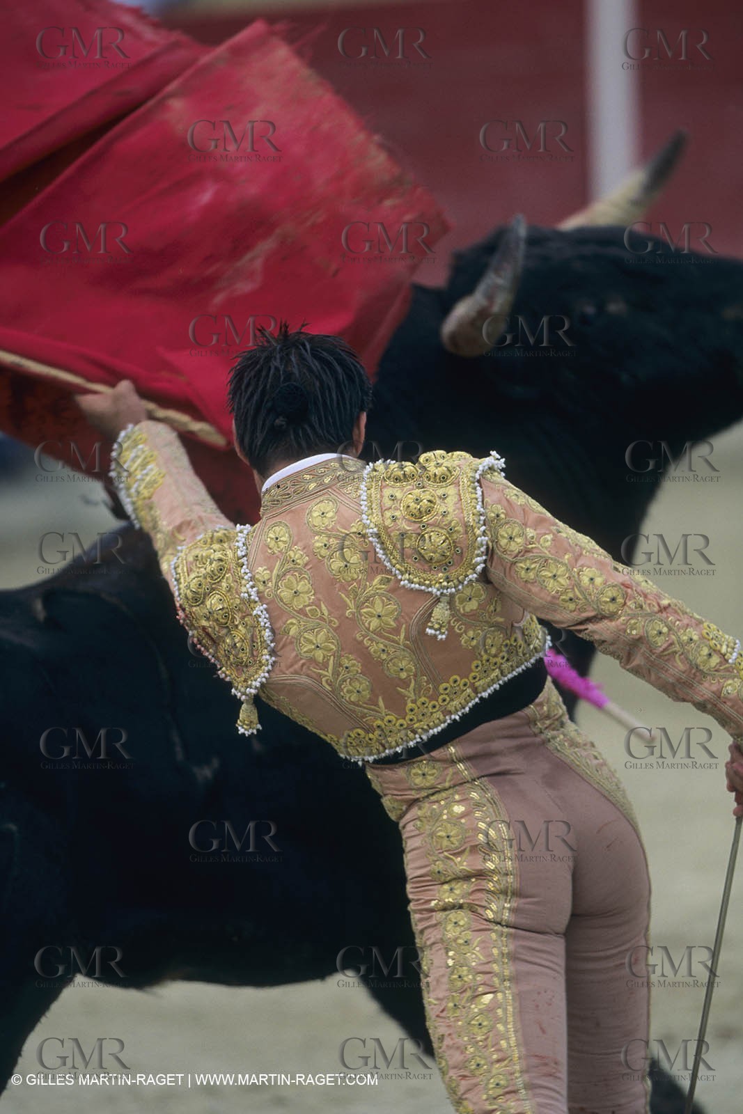 France, Provence, Traditions, Tauromachie, bull fights