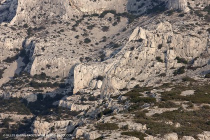 20 03 2009 - Marseille (FRA, 13) - Les Calanques - Mont Puget Est - Cirque des Petelins
