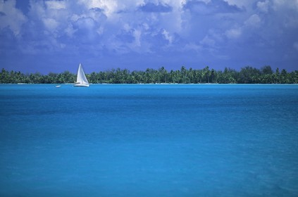 Polynesia