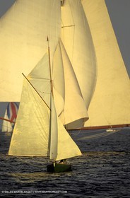 Small boats - Voiles de Saint Tropez