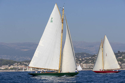 RRoyales18_5070.jpg
