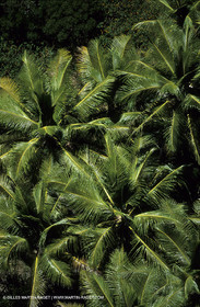 New Caledonia