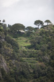 08 05 2010, Italia, Liguria,
