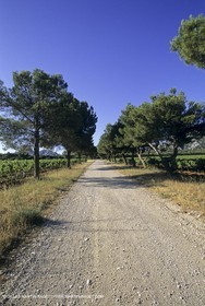 ALPILLES0029