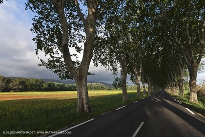 29 04 2012 ( Saint Rémy de Provence (FRA, 13) - Chaîne des Alpilles vers Romanin