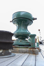 29 03 2019, Barcelona (Spain), Marigold