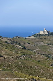 17 10 2011 - Côte Vermeille (FRA, 66) - Vgnobles des Corbières