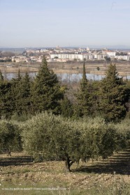 05 02 2008 - Arles (FRA, 13) - Paysages du Pays d'Arles