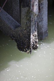 07 06 2011 - San Francisco (USA,CA) - 34th America's Cup - The Piers in their state of origin - Pier 23
