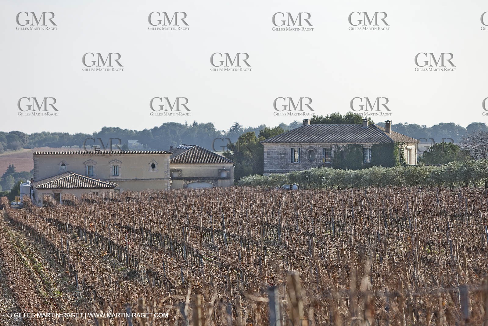 Saint Drézéry (FRA, 34), Domaine de Puech Haut