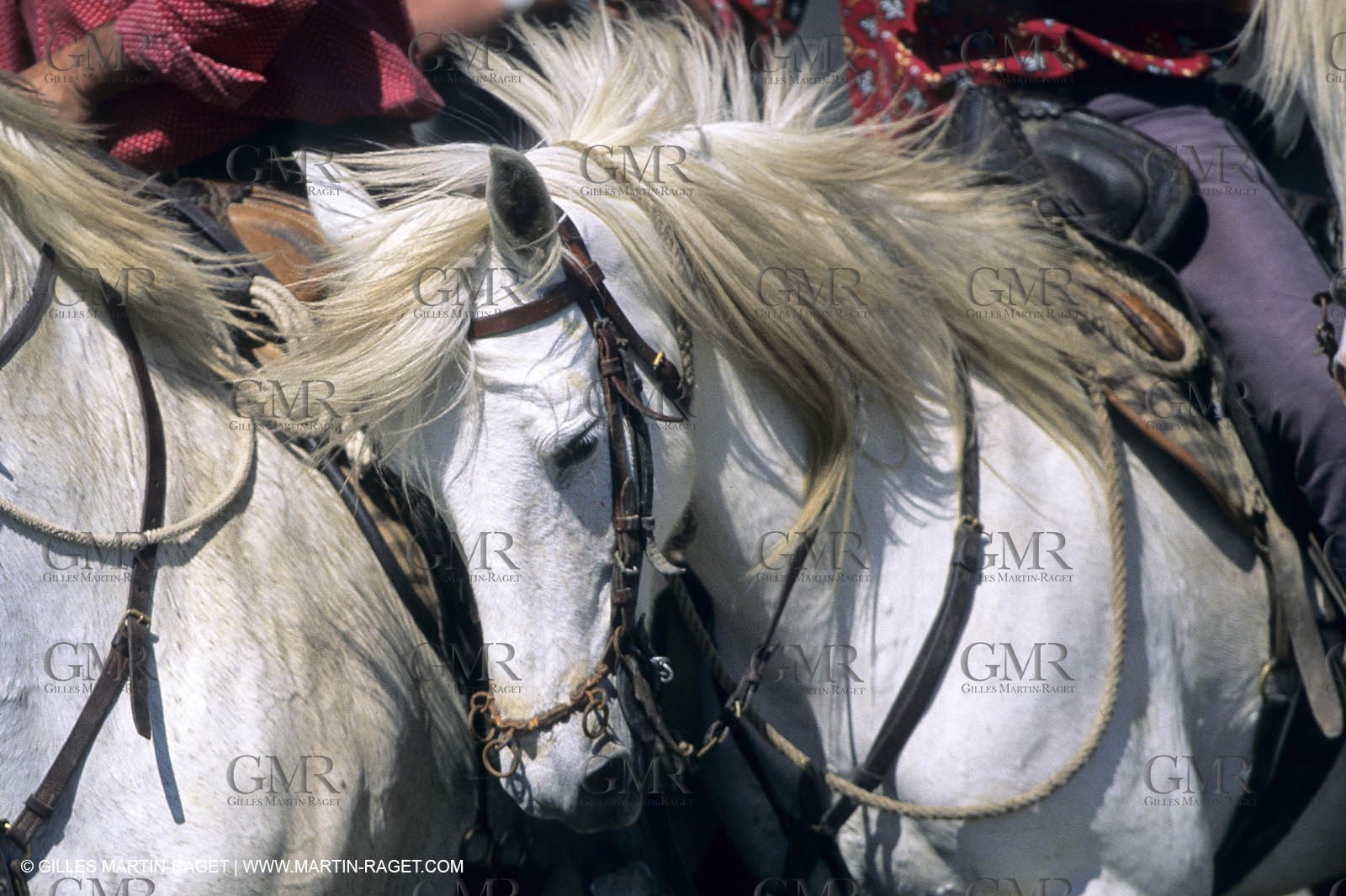 Camargue (FRA,13) - Gardians
