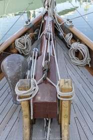 29 03 2019, Barcelona (Spain), Marigold