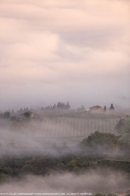 12 04 2016, Parc National du Luberon (FRA, 84)