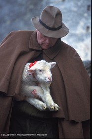Sheeps - shepherds