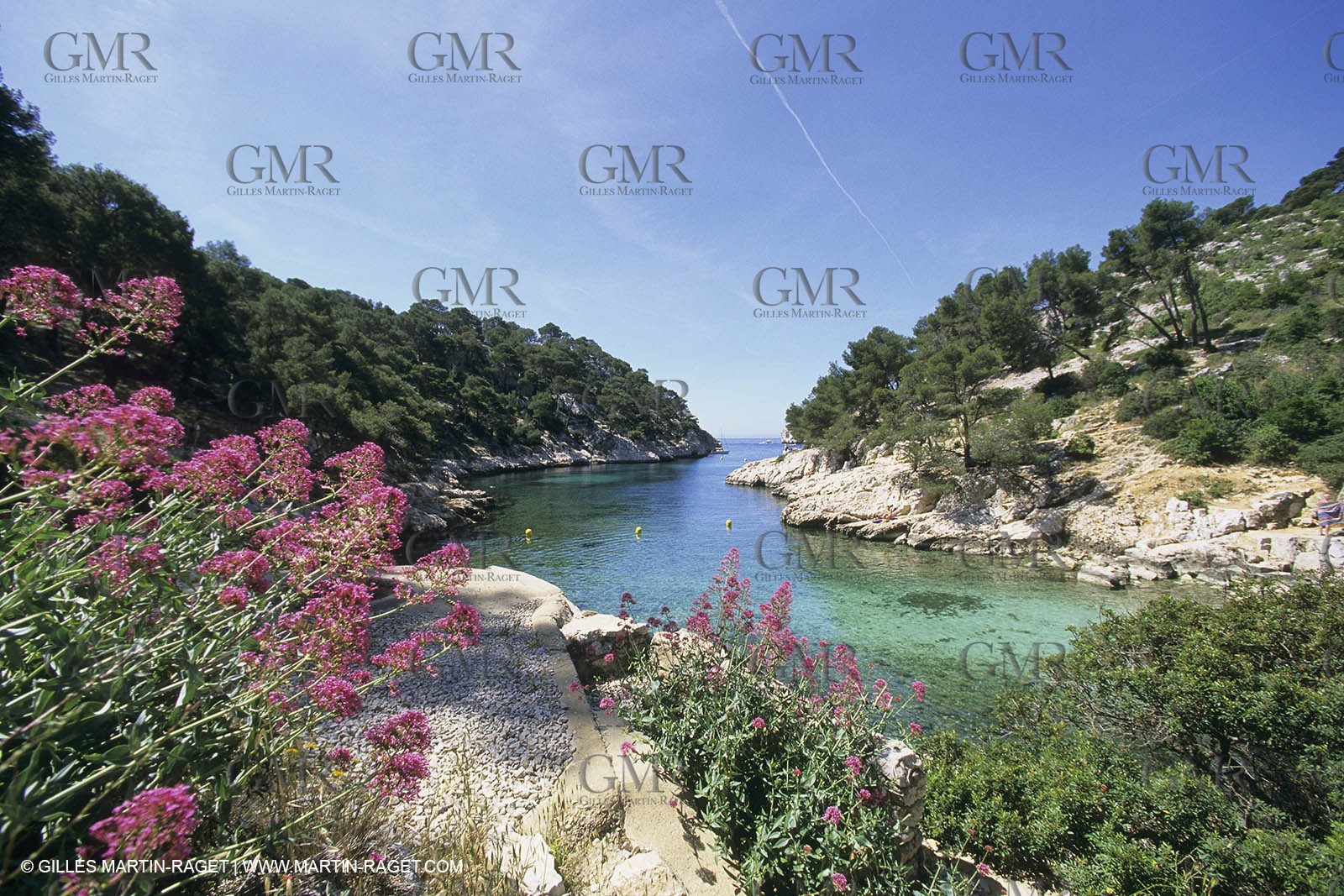 France, Provence, Les Calanques & Iles de Marseille, port Pin