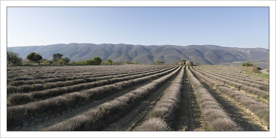 Produit : Tirage photo réalisé par nos soins sur imprimante jet d'encre professionnelle Epson à partir de 8 encres ultrachrome inaltérables (label Digigraphie).Formats au choix : .. 50 x 100 cm. 100 x 200 cmChoix des papiers :. Papier standard brillant 250 gr., filet noir, marge blanche, tirage non signé. Papier haut de gamme satiné 290 gr. filet noir, marge blanche, tirage vérifié et signé par l'auteur.. Tirages d'art (Digigraphies) signées, numérotées, tamponnées, enregistrées sur demande. Autres supports (canvas, acrylique, dibond) sur demandeConditionnement : tube cylindrique renforcé.Options pour l'expédition : . Colissimo + dépôt boîte aux lettres (France uniquement). Colissimo avec signature à réception. Transporteur express (2 jours ouvrés) avec signature à réceptionCliquez sur caddie pour sélectionner votre formule et démarrer la procédure de commande en ligne