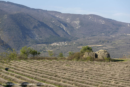 19 04 2018, Saint Martin de Castillon (FRA,84)