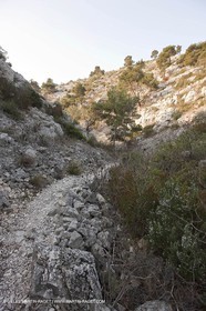 20 03 2009 - Marseille (FRA, 13) - Les Calanques - Vallon de l'oule