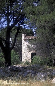 Nîmes
