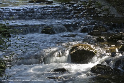 15 06 2012 - L'Huveaune à Auriol (FRA,13)