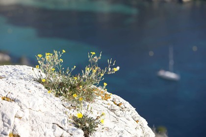 20 06 2008 - Marseille (FRA, 13) - Cruising among the local islands and creeks - Sormiou