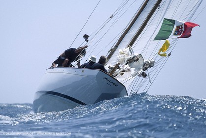 Dorade