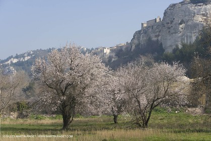 16 02 2008 - Les Baux de Provence (FRA, 13) - Paysages des Alpilles