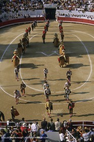 France, Provence, Traditions, tauromachie,