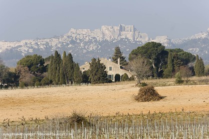 16 02 2008 - Les Baux de Provence (FRA, 13) - Alpilles hills landscapes