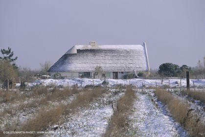 France, Provence, Camargue, Cabane de gardian, Gardian quant