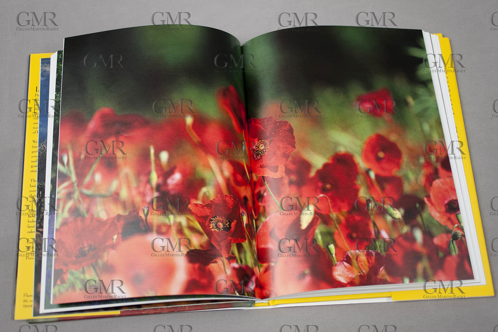 13 03 2010 -  La Grande Motte   Port Camargue (FRA) - Groupe Bel - Kito de Pavant   Sebastien Audigane training for Transat AG2R