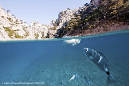 07 05 2009 - Marseille (FRA, 13) - Les Calanques - En Vau