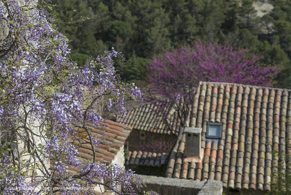 19 04 2018, Bonnieux (FRA,84)
