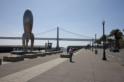 07 06 2011 - San Francisco (USA,CA) - 34th America's Cup - The Piers in their state of origin - Pier 14-22