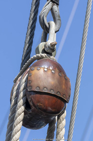 29 03 2019, Barcelona (Spain), Marigold